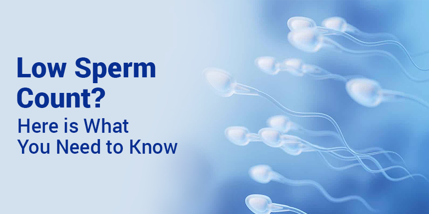 Low Sperm Count? Here is What You Need to Know